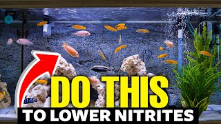 Heres How to Lower Nitrites In Aquariums FAST👨‍🔬 [upl. by Kristopher220]