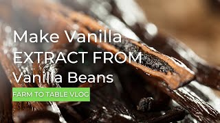 Make Vanilla Extract From Vanilla Beans [upl. by Yerkovich980]