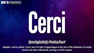 Cerci Pronunciation  How to Pronounce say Cerci CORRECTLY  Meaning Definition [upl. by Alyakcm]