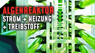 Algenkraftwerk Strom Heizung Treibstoff UND Nahrungsmittel der Zukunft  Breaking Lab [upl. by Eannyl]