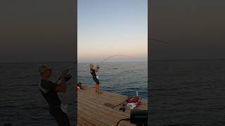 ВАААНЯ Тут Что то СХВАТИЛО 🤯🤯🤯 Полное видео на канале fishing [upl. by Okimuk]