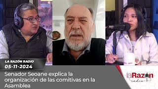 Senador Seoane explica la organización de las comitivas en la Asamblea [upl. by Namaan]