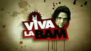 Viva La Bam Theme Song [upl. by Wendin129]