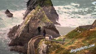 You must visit Dingle Ireland before you die [upl. by Lorry]