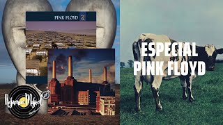 NOSOTROS LOS PROGRES  ESPECIAL  PINK FLOYD [upl. by Dorella269]