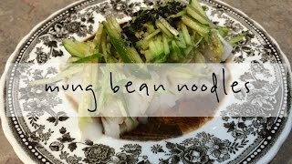 Mung Bean Noodles 凉粉 [upl. by Aholah]