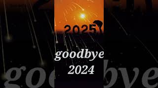 goodbye 2024 [upl. by Kristina]