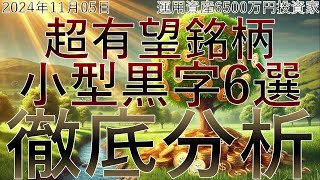 【超有望銘柄】小型黒字6選 [upl. by Nairadal]