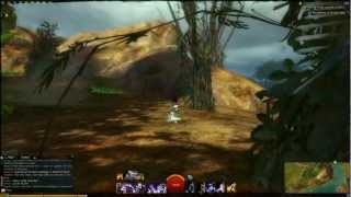 Guild Wars 2  Sparkfly Fen Vistas [upl. by Donn]