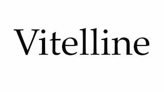 How to Pronounce Vitelline [upl. by Ditter]