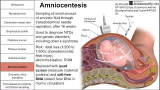 Prenatal screening fetal testing and other tests during pregnancy [upl. by Annmarie595]