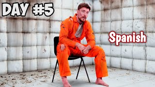 I Spent 7 Days In Solitary Confinement  español  mrbeast [upl. by Ardnal960]