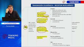 19 Farmacología Agonistas Y Antagonistas De Los Receptores Muscarínicos [upl. by Sinnaiy]