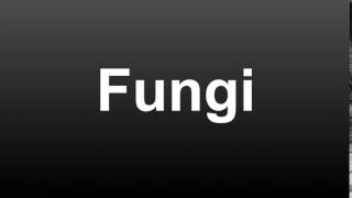 How To Pronounce Fungi American English [upl. by Sanfo]