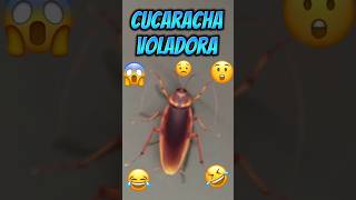 Cucaracha voladora shortsviral casosdelavidareal viral humor shortsyoutube [upl. by Sirmons]