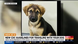 New CDC guidelines for entering US with your dog [upl. by Miah122]