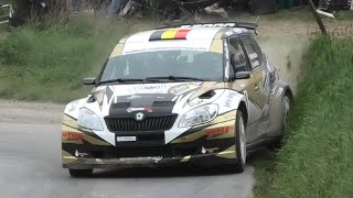 Rallye Salamandre 2023  Action  Mistakes  Pure Sound [upl. by Saphra]