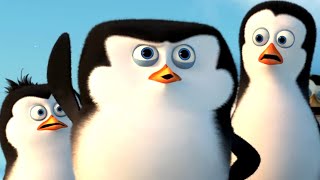 DreamWorks Madagascar  Penguins of Madagascar Official Trailer 3  Kids Movies [upl. by Lekzehcey651]