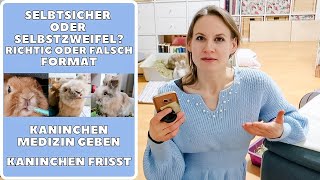 Selbstsicher oder Selbstzweifel Kaninchen Medizin geben  Kaninchen frisst  Alltag mit Kaninchen [upl. by Ettesus]