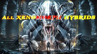 All Xenomorphs👽 in the Alien Saga Explained  Discover the Ultimate Xenomorph Evolution [upl. by Aidroc564]