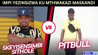 SKEYISENSIMBI vs PITBULL impi yezinsizwa engomeni yako Mthwakazi [upl. by Gahan]