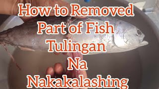 How To Removed Part of Fish Tulingan Poisonous [upl. by Rafferty]