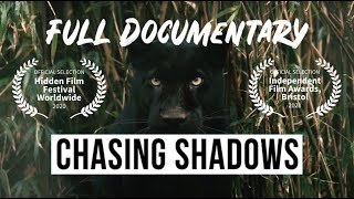 Chasing Shadows Britains Big Cat Mystery  Full Documentary [upl. by Scot]