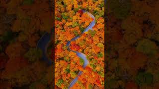 Fall in Vermont State USA 🔵🇺🇲 sub to channel if you like this video autumn recommended usa fall [upl. by Arekahs]