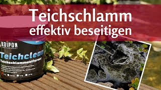 Teichschlamm entfernen – leicht gemacht [upl. by Adav]