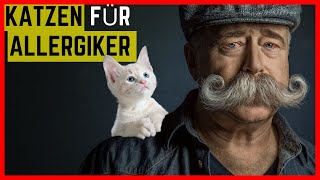 Katzen für Allergiker – Top 7 Katzenrassen ohne Fell amp mit Fell [upl. by Portwine]