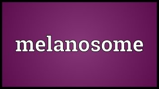 Melanosome Meaning [upl. by Janice]