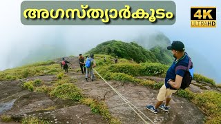 അഗസ്‌ത്യാർകൂടം  Agasthyarkoodam Trekking  Agastya Mala  4K UHD [upl. by Aneetsirk]