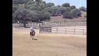 Antonio Domecq at A Campo Abierto  Country Riding Demonstration [upl. by Araihc]