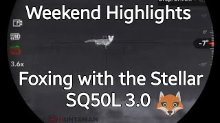 Foxing with the Stellar SQ50L 30  Weekend Highlights 🦊🪦 [upl. by Asyral]