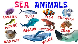 Learn All Sea Animal Names in 10 minutes 2024 [upl. by Llyrad]