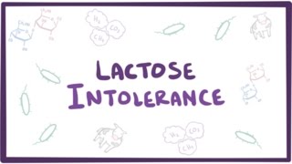 Lactose intolerance  causes symptoms diagnosis treatment amp pathology [upl. by Larimer]