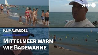 quotAlle leidenquot Mittelmeer durch Klimawandel warm wie Badewanne  AFP [upl. by Lennahc]