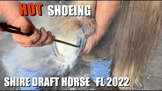 Hot Shoeing a Shire Draft Horse [upl. by Hgielram611]