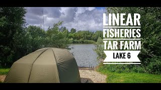 Carp fishing  Tar farm lake 6 Linear Fisheries for 24 hrs in gale force winds and heavy rain [upl. by Botzow]