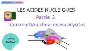 TRANSCRIPTION CHEZ LES EUCARYOTES  ACIDES NUCLEIQUES Partie 3  Biochimie Facile [upl. by Saffren]