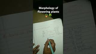 Morphology of flowering plants ☘️ [upl. by Leonanie861]