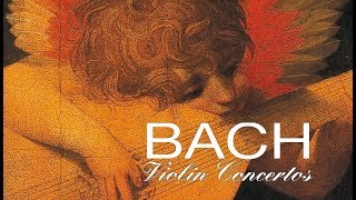 JS Bach The Violin Concertos [upl. by Tlaw921]