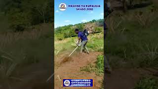 Mashine ikipalilia shamba la nanasi brushcutter mashineyakupalilia nanasi shambalananasi [upl. by Natsirc]