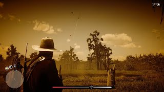 Red Dead Redemption 2 Carolina Parakeet Locations Guide PapugaKarolińska Lokacje Poradnik [upl. by Nasya]