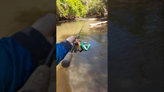 A casa das Tabaranas 🎣 pescaesportiva pesca fishing lure rio tabarana salminus peixe [upl. by Teplitz]