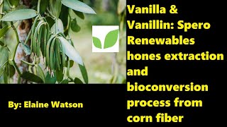 Vanilla amp Vanillin Spero Renewables hones extraction and bioconversion process from corn fiber [upl. by Raffin55]