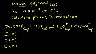 Strength of Acids and Bases [upl. by Eidnam]