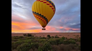 Masai Mara December 2021 [upl. by Novat]