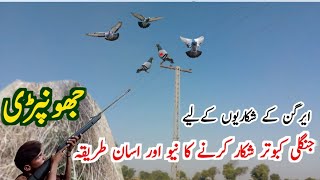 Jangli kabootar ka shekar  air gun pigeon hunting trip  جنگلی کبوتر پکڑنے کاااسان طریقہ very munda [upl. by Ahsimac455]