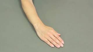 Goniometer Wrist Radial Deviation [upl. by Ardnoet]